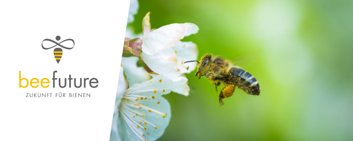Zwei Bienenstaaten hat Dethelffs von der Firma "beefuture" aufstellen lassen, um die artgerechte Bienenhaltung zu unterstützen und so einen Beitrag zum Schutz der Umwelt zu leisten.